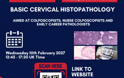 Basic Cervical Histopathology Virtual Course 2027