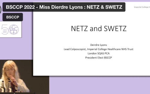 Treatment of CIN - the use of NETZ and SWETZ