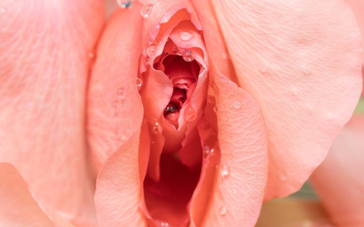 Vulval Dermatology for the Colposcopist