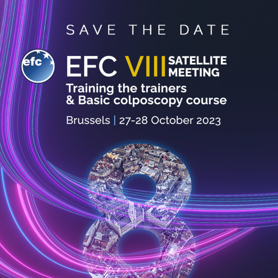 EFC 8th Satellite Meeting